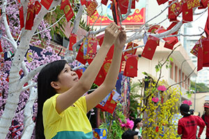 פסטיבלים בווייטנאם